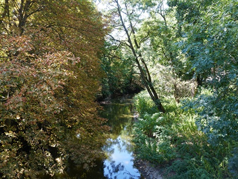 DSC06728
